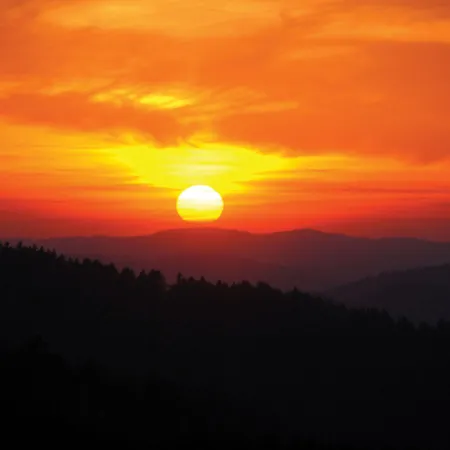 Hotel Haus Bayerwald