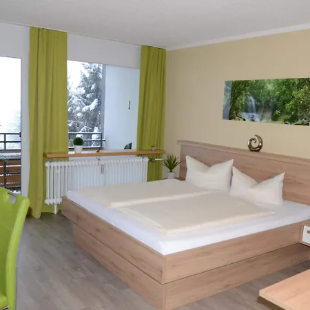 Hotel Haus Bayerwald 3*